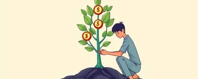 Dividendos: A Estratégia dos Investidores Vencedores